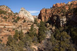 zion national park canyon overlook trail