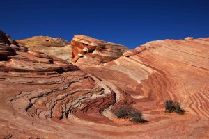 Fire Wave in The Valley Of Fire State Park