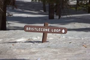 west-amerika winter wandelen