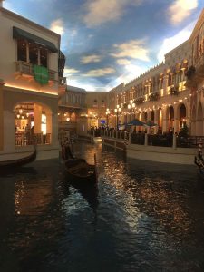the venetian Las Vegas